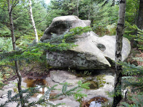 dolmen de la Haute Côte