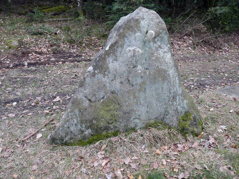 Borne Saint-Martin