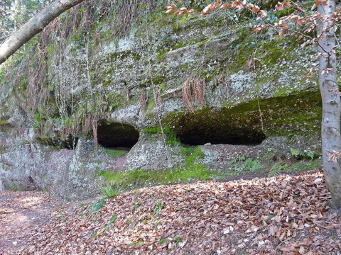 Danne-et-Quatre Vents