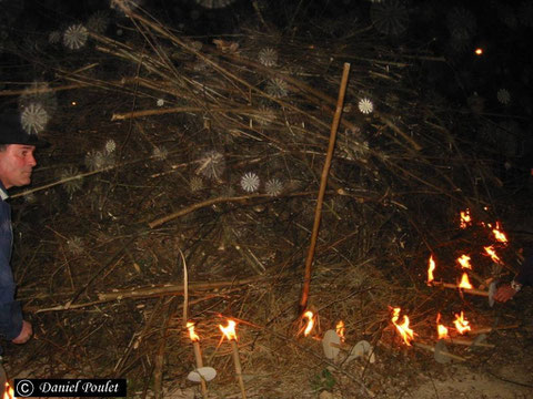 Orbes fibro-radiés (photo Dane POULET)