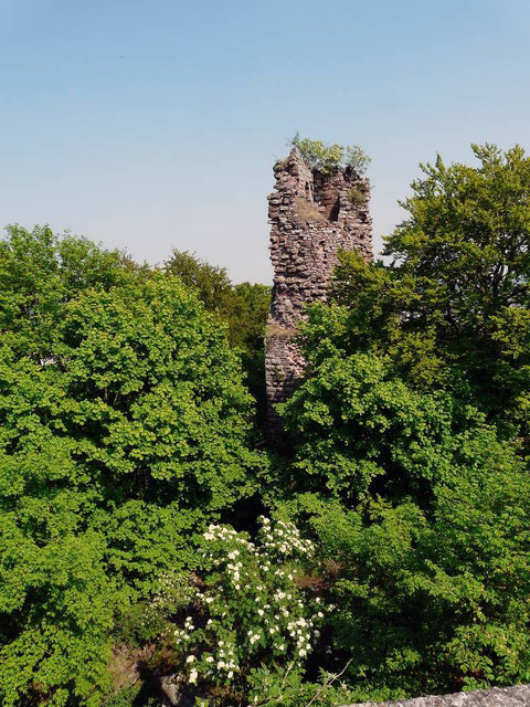 château de Greifenstein