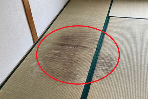 畳のカビ汚れ