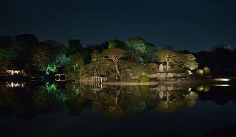 ライトアップされた六義園の大名庭園