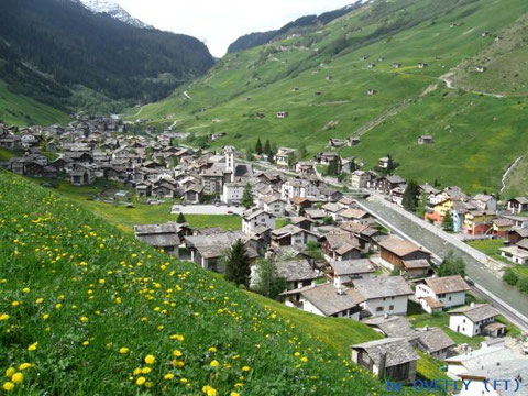This image is made in spring 2008