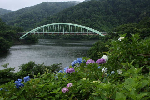 正善寺ダム 水源ダム　紫陽花水に映える