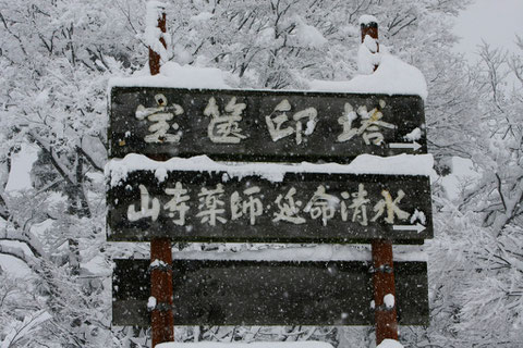 寒そうに客を待つ　大雪の定例撮影行の帰り道車内より撮る