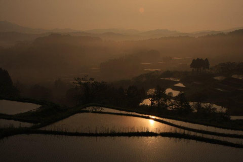 大月 靄う棚田　朝陽も包む