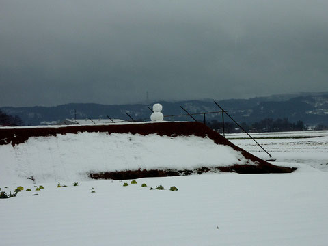 写ッセジュニア大賞 No.51204　雪だるま　金子裕紀