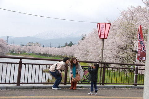 部門賞　上越のさくら部門 1066 はい！ポーズ 荒木勲（新潟市）