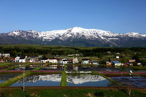 写ッセ自然景観部門賞 No.50605　春映す地上の鏡　山下信男