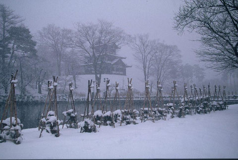 冬の高田公園  雪降りしきる静かな公園