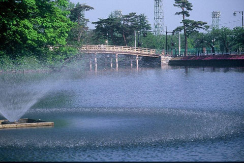 噴水　初夏の陽に噴水の水がまぶしい