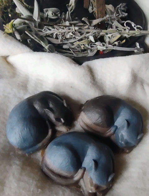 Winterkatzenkuscheln