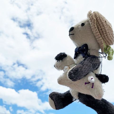 fairysaddle teddybear panchiblog