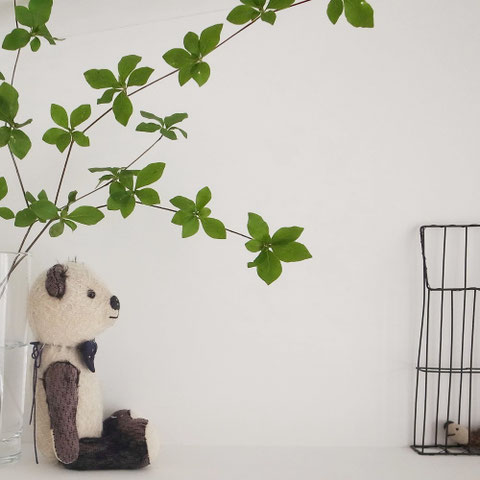 fairysaddle teddybear panchiblog
