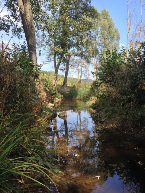 Torrente Belbo (Foto M.Pettavino)