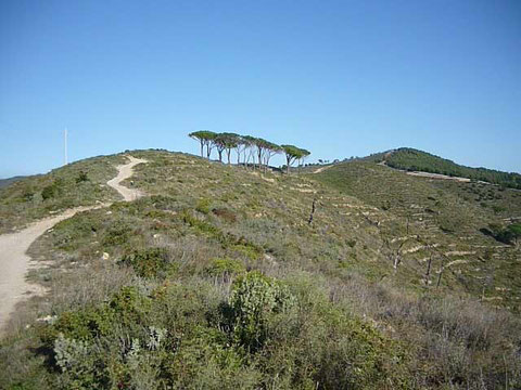 Il Borgo e il mare sono circondati da splendide colline