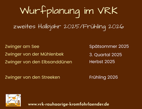 Kromfohrländer Welpen Verein Zwinger Einkreuzprojekt VRK