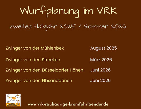 Kromfohrländer Welpen Verein Zwinger Einkreuzprojekt VRK