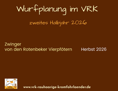 Kromfohrländer Welpen VRK Einkreuzprojekt