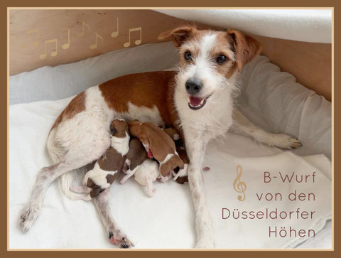 B-Wurf von den Düsseldorfer Höhen - 8. Mai 2026