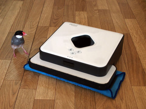 床拭きロボットブラーバ380j