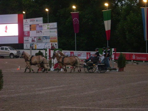 Haflinger-Gespann