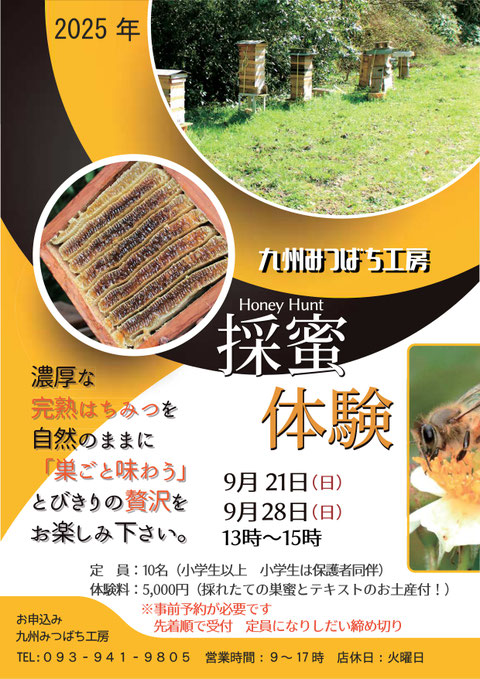 ニホンミツバチの採蜜体験 - 北九州市立山田緑地