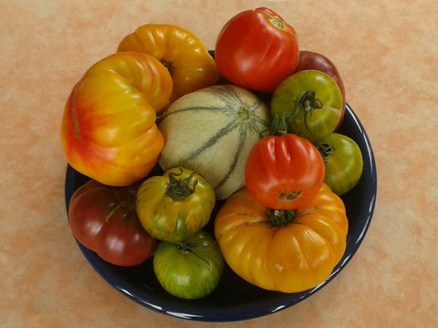Carpaccio de tomates