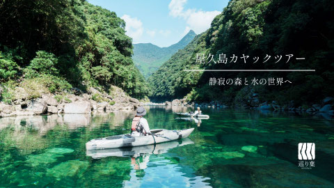 屋久島の安房川をガイドとゆっくり漕ぐカヤック体験