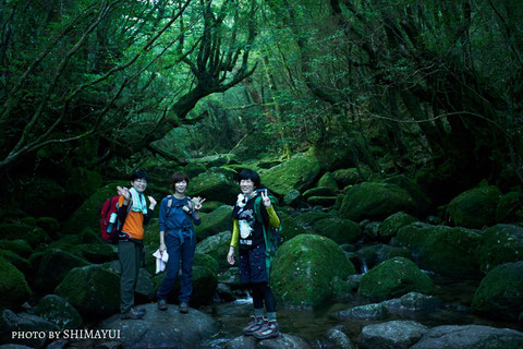 白谷雲水峡,もののけの森,もののけ姫の森,苔むす森,ナイトツアー,キャンプ,早朝