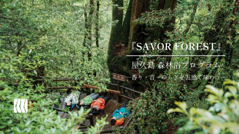 屋久島森林浴プログラム『SAVOR FOREST』香り・音・ゆらぎを五感で味わう（屋久島公認ガイドツアー）