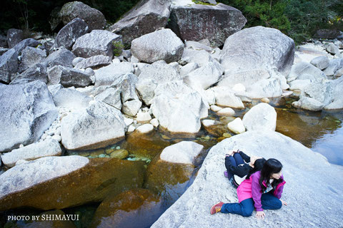 屋久島ガイド,縄文杉日帰りツアー,屋久杉,登山,トレッキング