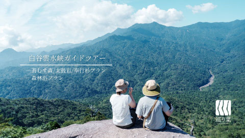 苔むす森から絶景の太鼓岩まで屋久島ガイドとトレッキング