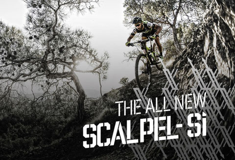 Cannondale bikes von bike+style. Scalpel, Trigger, Jekyl bei uns am Lager. 