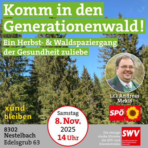 Waldwanderung 8.11.2025
