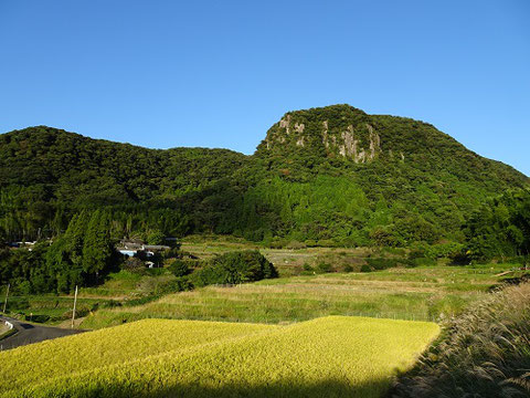 岩下の棚田