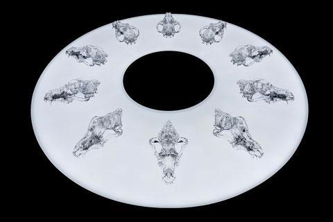 幻象 / Phantom（10 piece set）