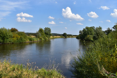 NABU, Malte Wördemann, Westen, Fluss, Aller, AllerViefalt