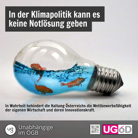 Fotomontage: Fische schwimmen in einer Glühbirne