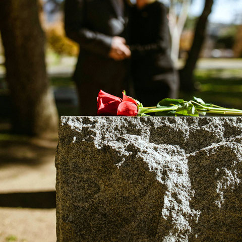 Rosen auf einem Grabstein