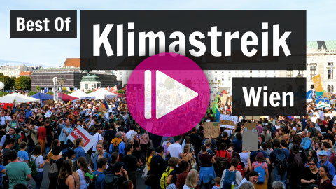 Eine Menschenmenge auf einer Demo in der Wiener Innenstadt