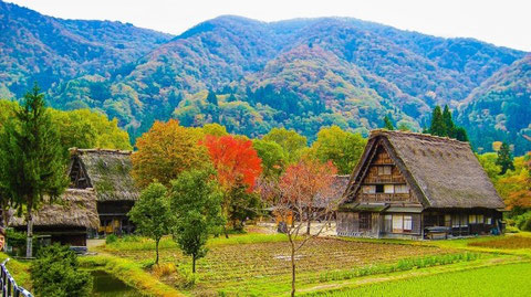 中学生の時に習った白川郷の合掌造り