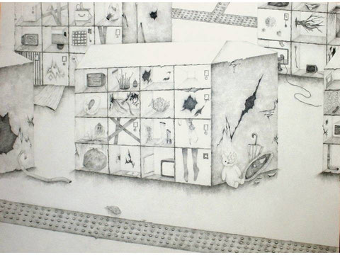"年前の忘れ物、年後の忘れ物/The lost Property"    2010    36x48.5cm    鉛筆、画用紙/Pencil on paper