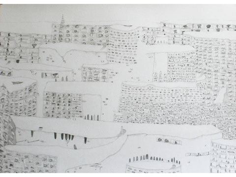 "万里の住宅/The Great House"    2009    50x70cm    鉛筆、画用紙/Pencil on paper