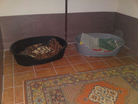 Ein Bereich im Boxenraum