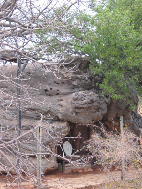 Il baobab-toilet