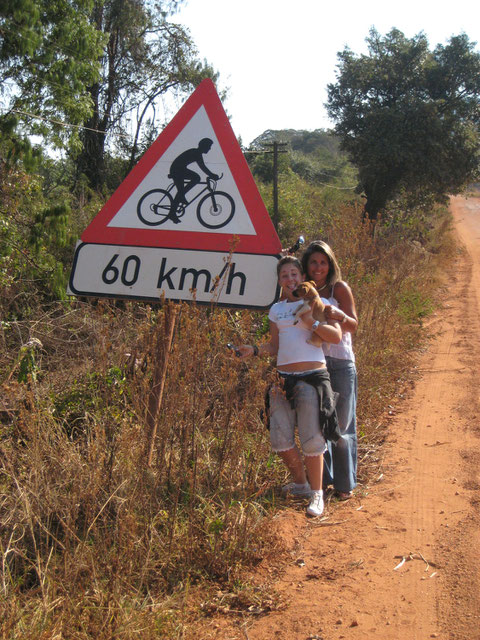 Occhio! Qui i ciclisti (colpa forse dei leopardi) viaggiano a 60 all'ora.