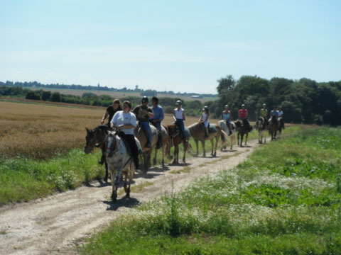 sortie débutants