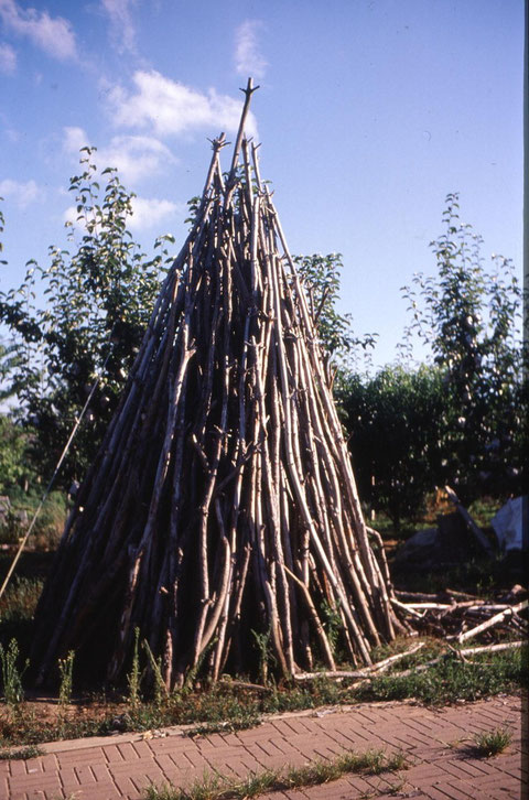 wooden trees,massan 1995